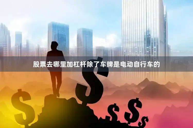 股票去哪里加杠杆除了车牌是电动自行车的