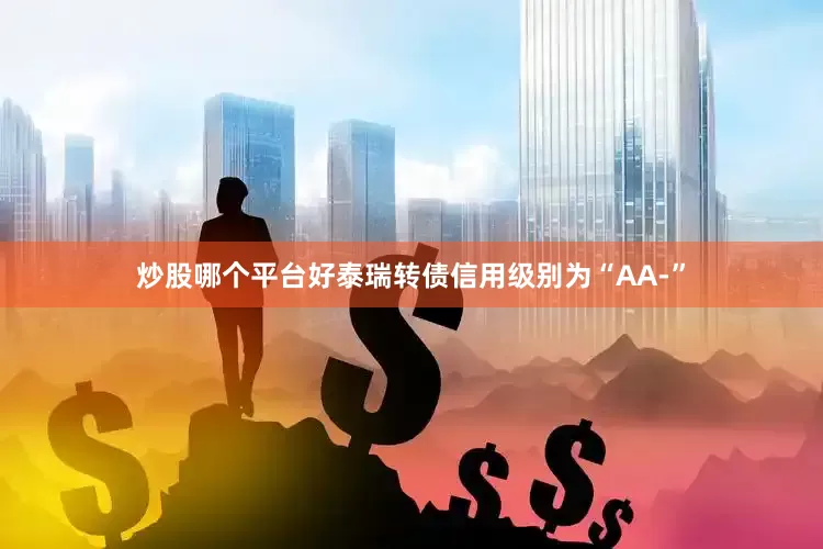 炒股哪个平台好泰瑞转债信用级别为“AA-”