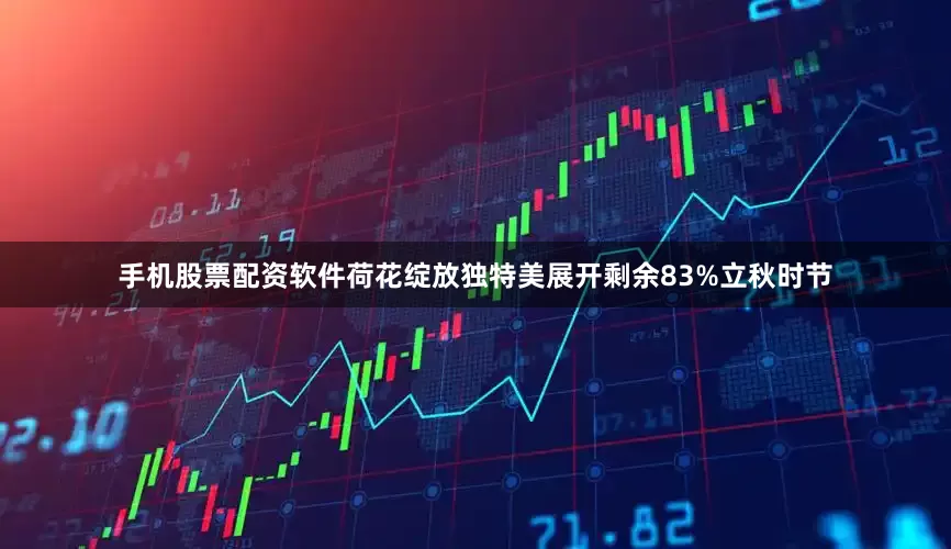 手机股票配资软件荷花绽放独特美展开剩余83%立秋时节